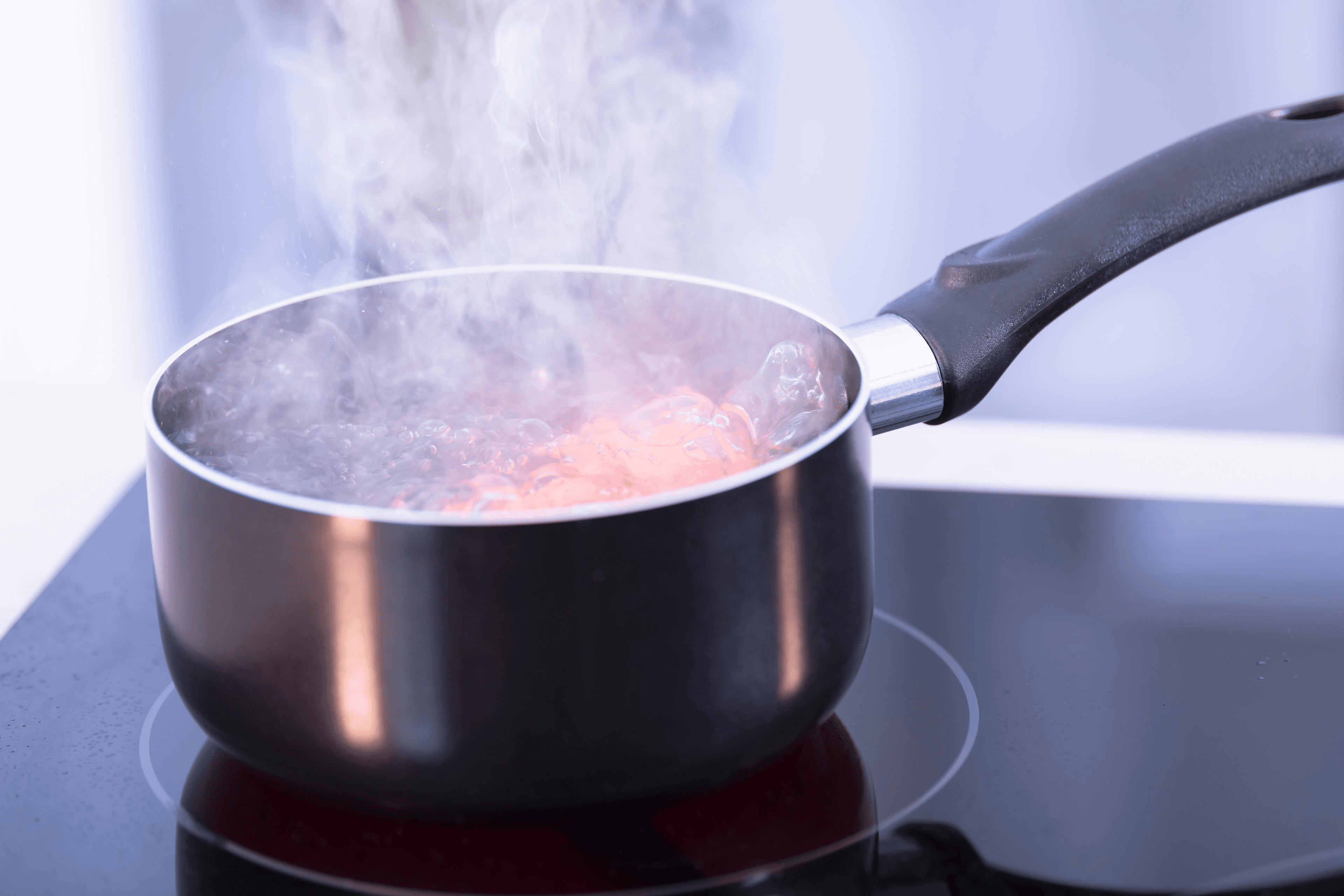 Induction Burner Stove Image